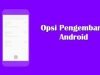 cara masuk opsi pengembang vivo